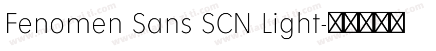 Fenomen Sans SCN Light字体转换